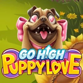 Go High Puppy Love game by RubyPlay – logo hosted on Westace Casino